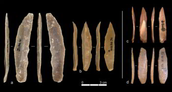 Examples of stone artifacts from the Ahmarian levels at Ksar Akil (a, b) and the Proto-Aurignacian layers at Grotta di Fumane (c) and Grotta di Castelcivita (d). Although the finished tools appear similar, Falcucci and Kuhn found that the technological methods used to produce them were markedly different. Panels a and b are from the lithic collection of the University of Tübingen; panel c is adapted from Falcucci et al. (2022), and panel d from Falcucci et al. (2024).