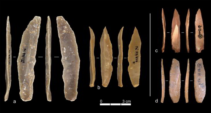 Examples of stone artifacts from the Ahmarian levels at Ksar Akil (a, b) and the Proto-Aurignacian layers at Grotta di Fumane (c) and Grotta di Castelcivita (d). Although the finished tools appear similar, Falcucci and Kuhn found that the technological methods used to produce them were markedly different. Panels a and b are from the lithic collection of the University of Tübingen; panel c is adapted from Falcucci et al. (2022), and panel d from Falcucci et al. (2024).