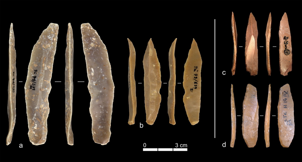Examples of stone artifacts from the Ahmarian levels at Ksar Akil (a, b) and the Proto-Aurignacian layers at Grotta di Fumane (c) and Grotta di Castelcivita (d). Although the finished tools appear similar, Falcucci and Kuhn found that the technological methods used to produce them were markedly different. Panels a and b are from the lithic collection of the University of Tübingen; panel c is adapted from Falcucci et al. (2022), and panel d from Falcucci et al. (2024).