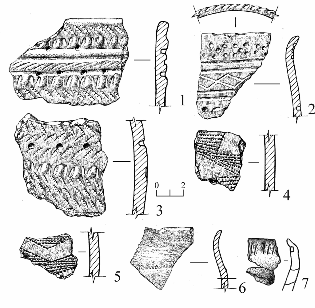 Examples of pottery previously discovered at the site: 1–5) vessels of the eastern variant of the Pakhomovo Culture (drawing by D.V. Selin); 6) pottery fragment made on a potter’s wheel (drawing by D.V. Selin); 7) pottery fragment of the Late Irmen Culture (drawing by L.N. Mylnikova).