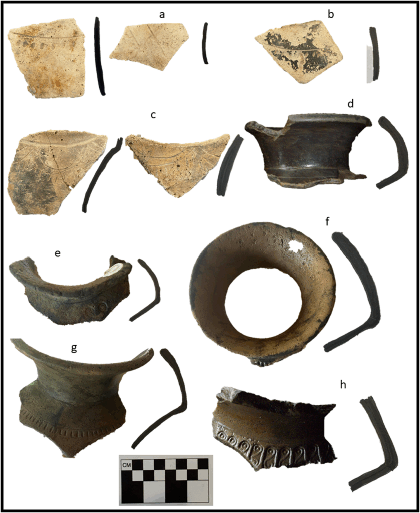 Fragments of Belize Red pottery, commonly used in Maya households and originally produced in the upper Belize River valley, were also discovered at the Ch’ok Ayin site within the Paynes Creek Salt Works. Credit: McKillop & Sills, 2025, Ancient Mesoamerica.