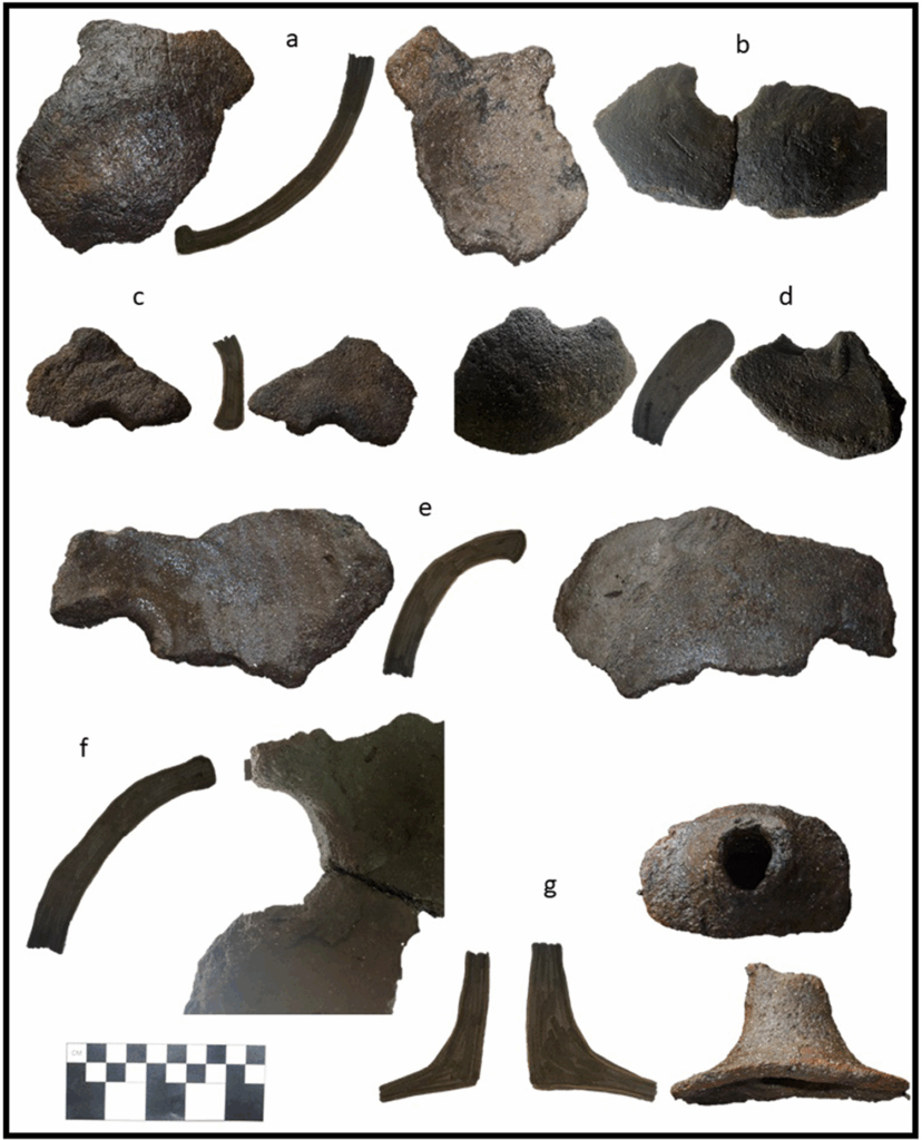 Fragments of clay funnels used by the ancient Maya to channel saltwater through containers filled with salty soil during the brine enrichment process. Credit: McKillop & Sills, 2025, Ancient Mesoamerica.