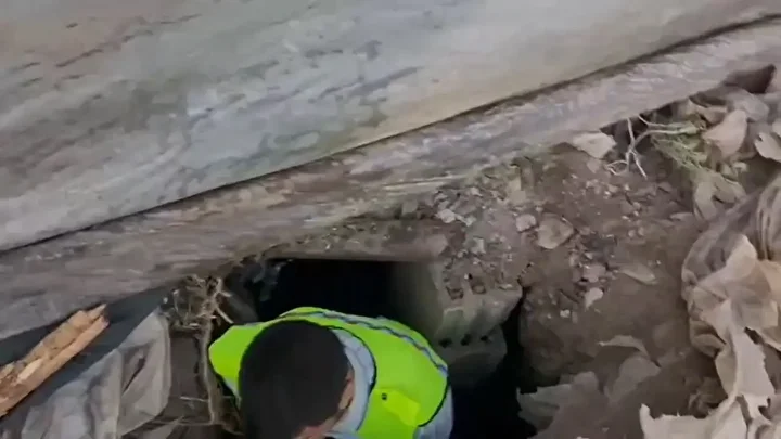 The 60-square-meter figurative mosaic had been concealed beneath a concrete block to be sold to antiquities traffickers. Credit: Mardin Provincial Gendarmerie Command