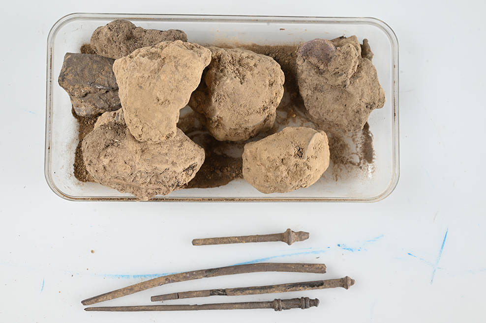 Selection of finds from Borsum, Hildesheim district. Credit: Bartels, PI Hildesheim, ZKD/FK Forensik
