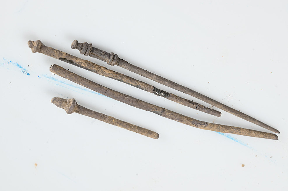 Metal pins recovered from the Roman-era hoard near Borsum, Hildesheim. Credit: Bartels, PI Hildesheim, ZKD/FK Forensik