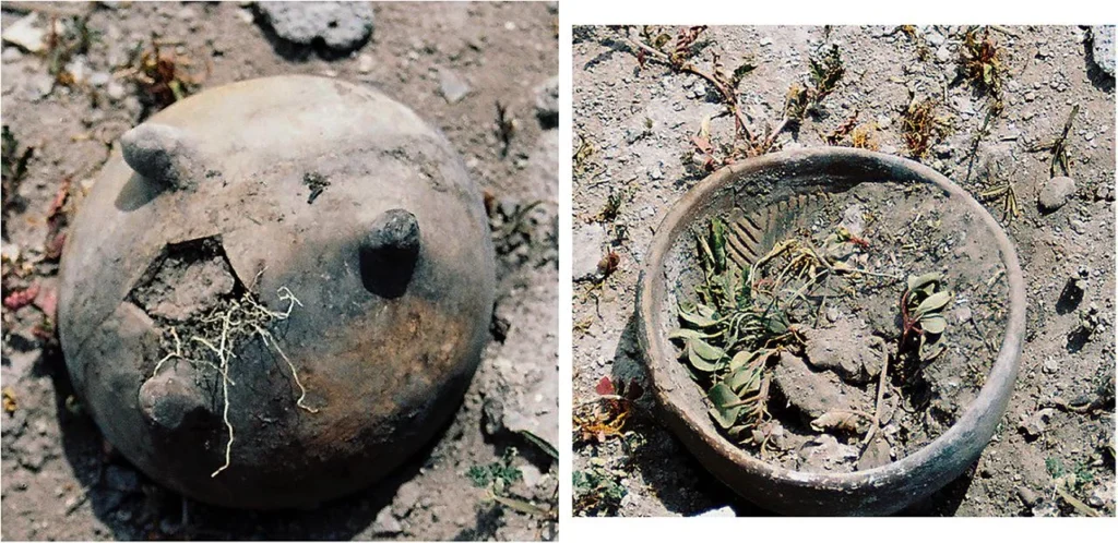Photos of the molcajete offering. Left: the offering as it was found; Right: cover bowl removed. Credit: J. Neely et al., Ancient Mesoamerica (2025)