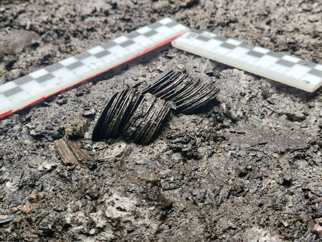 Smolensk archaeologists uncover 48 medieval silver coins, including Prague groschen — widely known as the ‘Dollar of the Middle Ages’ — a Lithuanian denarius, and a Crimean dang, shedding light on Eastern Europe’s monetary networks in the early 1400s. Credit: IA RAS / VKontakte