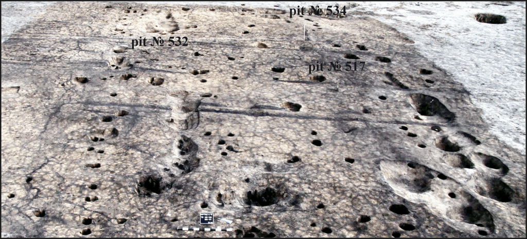 Structure 2 at the Tartas-1 archaeological site, fully excavated. The site has yielded unique Bronze Age ceramics that may belong to the little-known Ust-Tartas culture. Credit: Vyacheslav Molodin