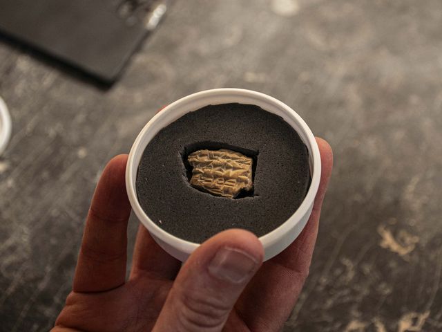 The Assyrian sealing – the only one ever discovered from the First Temple period. Credit: Yoli Schwartz, Israel Antiquities Authority