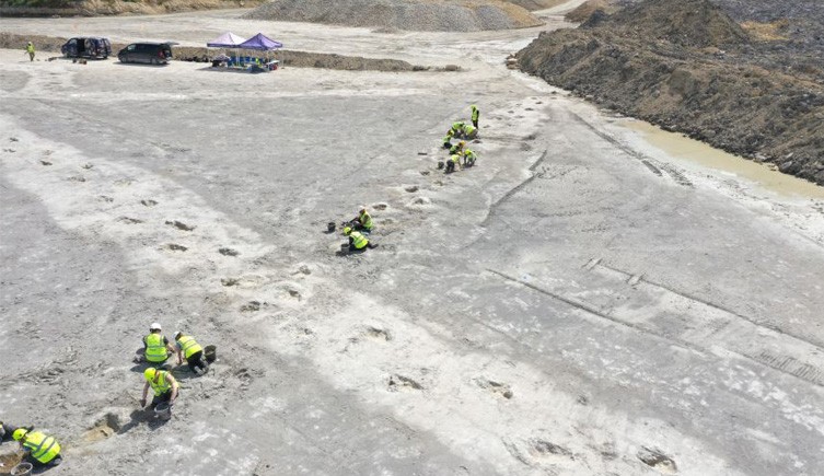 The team uncovered five separate trackways, the longest stretched for more than 150 meters. Credit: University of Birmingham