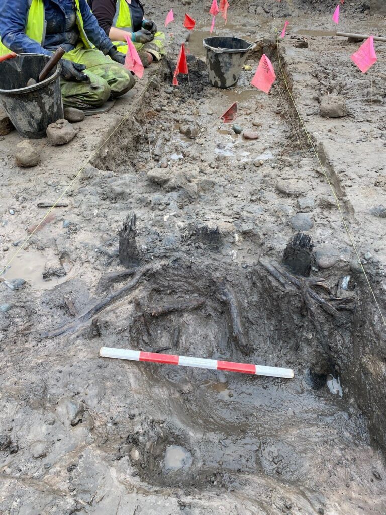 Wattle fencing discovered at Spoutmout. Credit: GUARD Archaeology