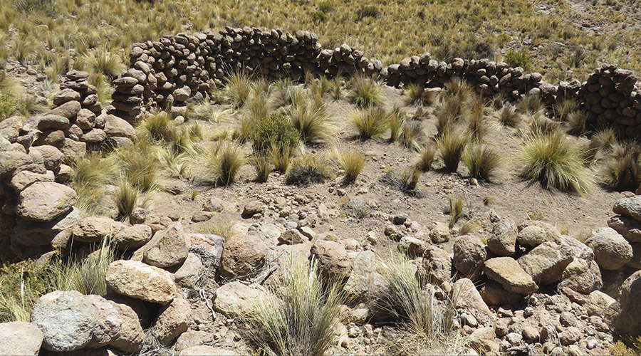  Examples of chacu traps found in the Camarones Basin. Credit: Oyaneder, A. (2025), Antiquity