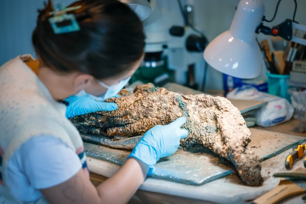 Archaeologists uncover a rare medieval chain-mail shirt — the only known combat artifacts of their kind in the South Caucasus. Credit: Rustavi History Museum