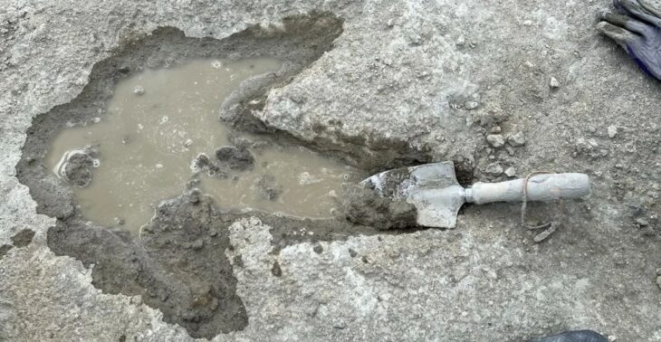 More than 200 footprints that were made around 166 million years ago were uncovered in an Oxfordshire quarry. Credit: Oxford University Museum of Natural History