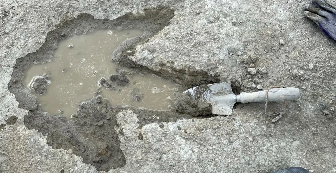 More than 200 footprints that were made around 166 million years ago were uncovered in an Oxfordshire quarry. Credit: Oxford University Museum of Natural History