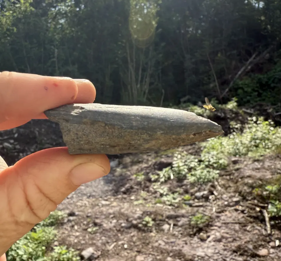 Part of an axe blade from an almost fully polished axe.  Credit: Silje Hårstad / Museum of Cultural History