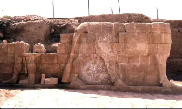 Recently unearthed remains of lamassu guardians from the Assyrian palace at Tell Nabi Yunus, Nineveh, Iraq. Credit: Ministry of Culture, Tourism and Archaeology of Iraq.