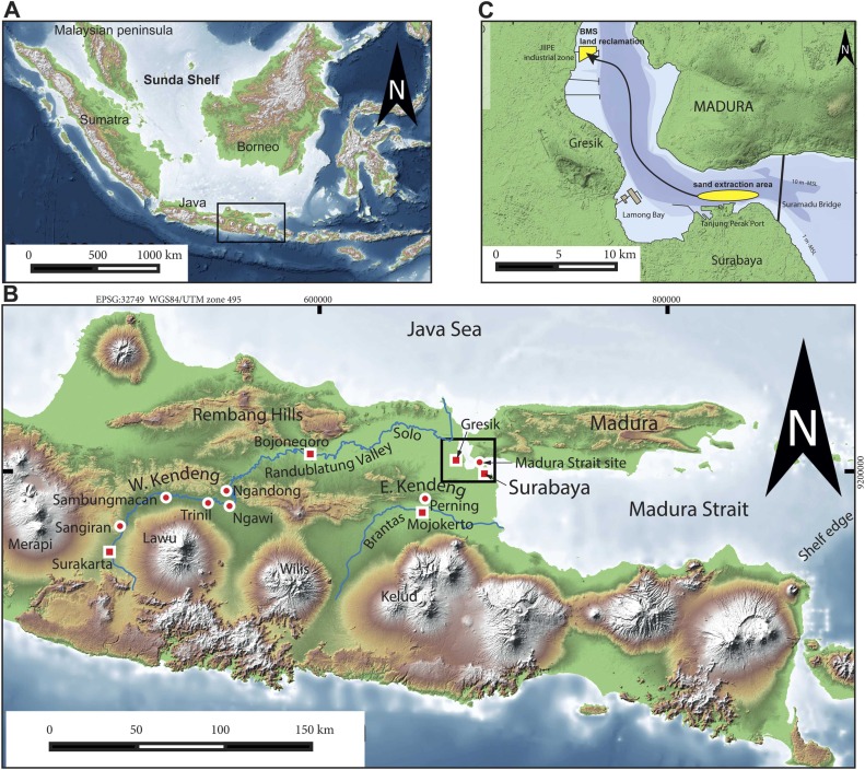 A. The Sunda Shelf of Southeast Asia with the Indonesian archipelago. The box indicates the location of map B. B. Eastern Java showing the Madura Strait, the Solo River, and major hominin sites including Ngandong and Sambungmacan. The box marks the location of map C.C. The Madura Strait north of Surabaya, showing the sand extraction area and the location of the BMS land reclamation site. Map data sources: GEBCO and ALOS.