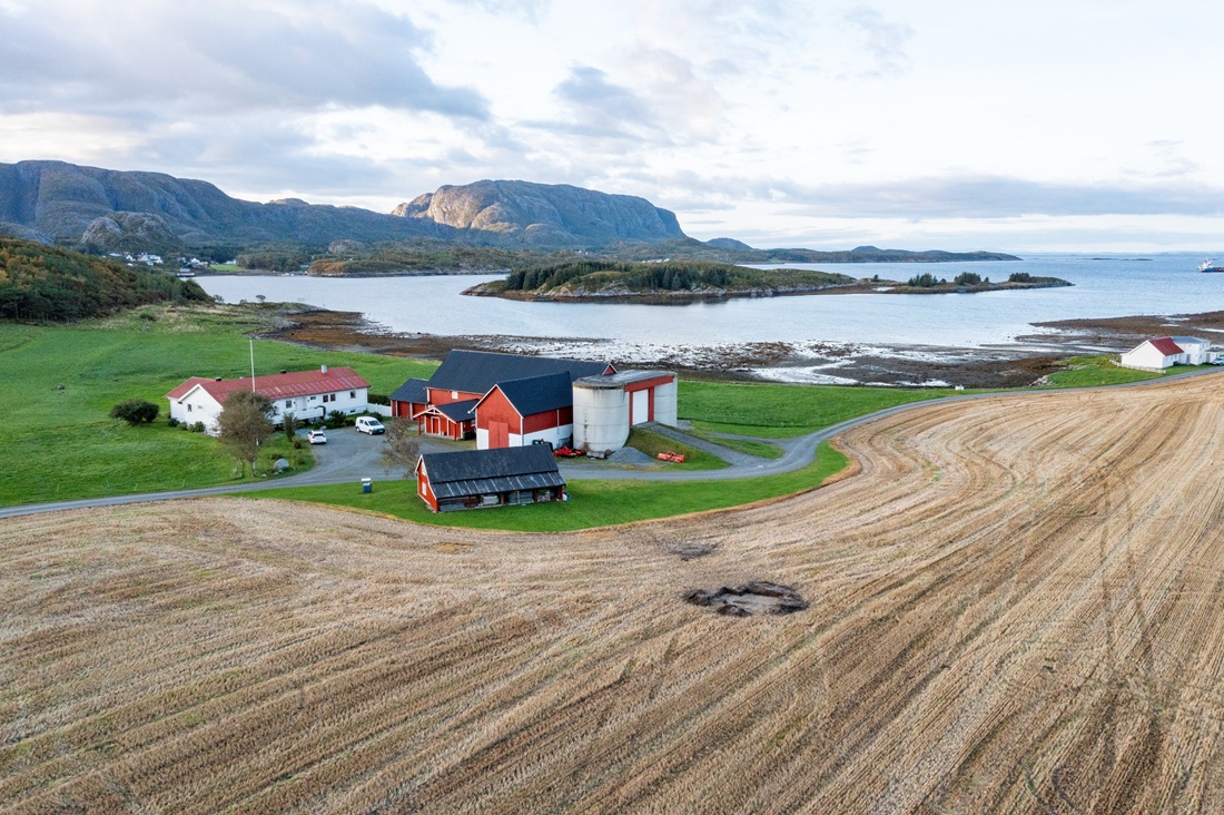 From the farm in Bjugn where the Viking grave was discovered. Credit: Kristoffer Rantala, NTNU University Museum