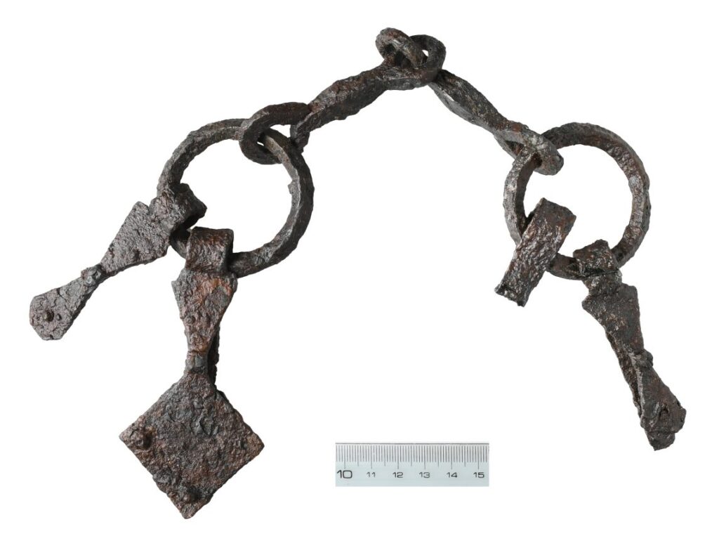 Bit from a grave in Sylta. Credit: Arkeologerna