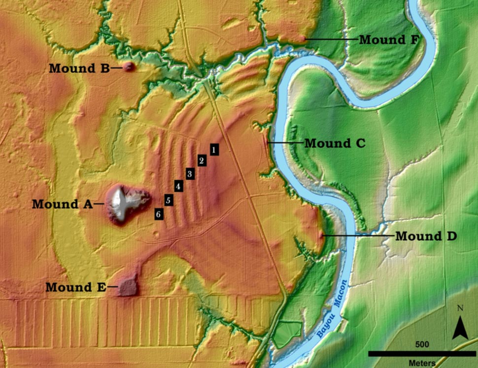 Core features of Poverty Point in northern Louisiana. The six C-shaped ridges (orange) sit on Macon Ridge, near the Mississippi River floodplain (green). Lighter areas show soil likely mined for mound construction. Credit: Washington University in St. Louis.