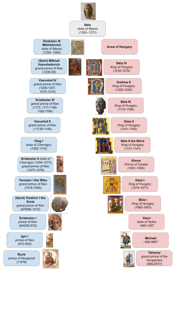 Genealogy of Duke Béla of Macsó (the facial reconstruction of Béla, Duke of Macsó was made by Ágnes Kustár, while King Béla III's face was reconstructed by Gyula Skultéty). Credit: Eötvös Loránd University (ELTE)