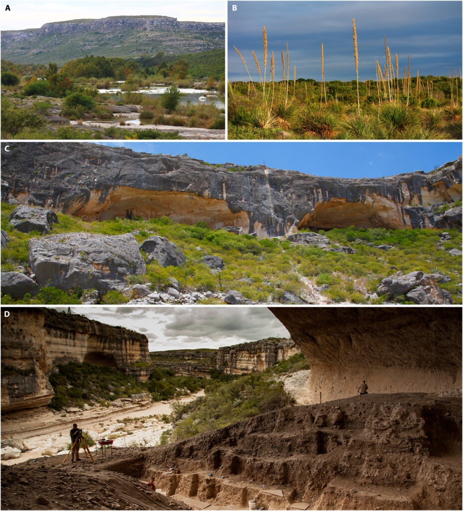 Views from the Lower Pecos Canyonlands, including the Devils River, desert vegetation, and key archaeological sites such as 41VV39 and 41VV167, where pictographs have been radiocarbon dated to between 3,560–1,380 years ago. Source: Steelman et al. 2025.