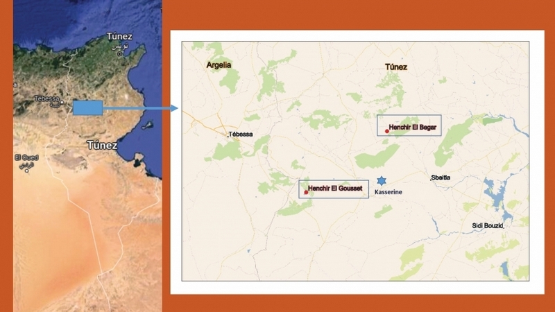 Map showing the two sectors of Henchir el Begar: Hr Begar 1 with its twelve-press torcularium and Hr Begar 2 with eight additional presses. Credit: Ca' Foscari University of Venice 