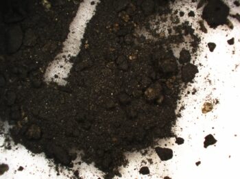 Residues extracted from the inkwell’s interior and analyzed using advanced laboratory techniques. Credit: C. Oliveira et al., 2025.