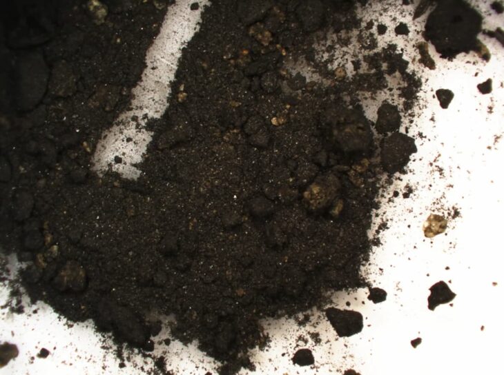 Residues extracted from the inkwell’s interior and analyzed using advanced laboratory techniques. Credit: C. Oliveira et al., 2025.