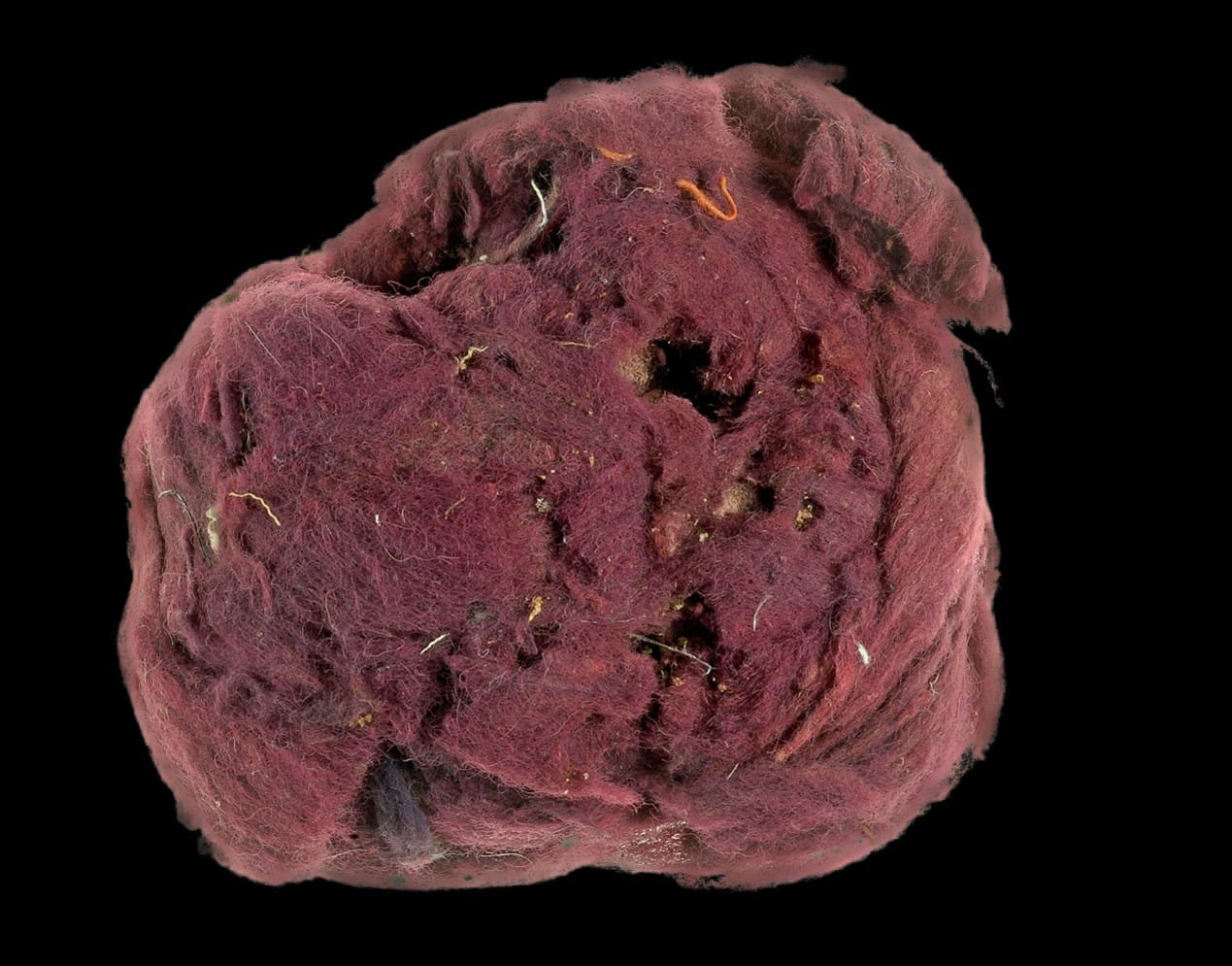 Credit: Clara Amit and Yuvaly Schwartz, courtesy of the Israel Antiquities Authority; Shahar Cohen, courtesy of Prof. Zohar Amar, Bar-Ilan University.