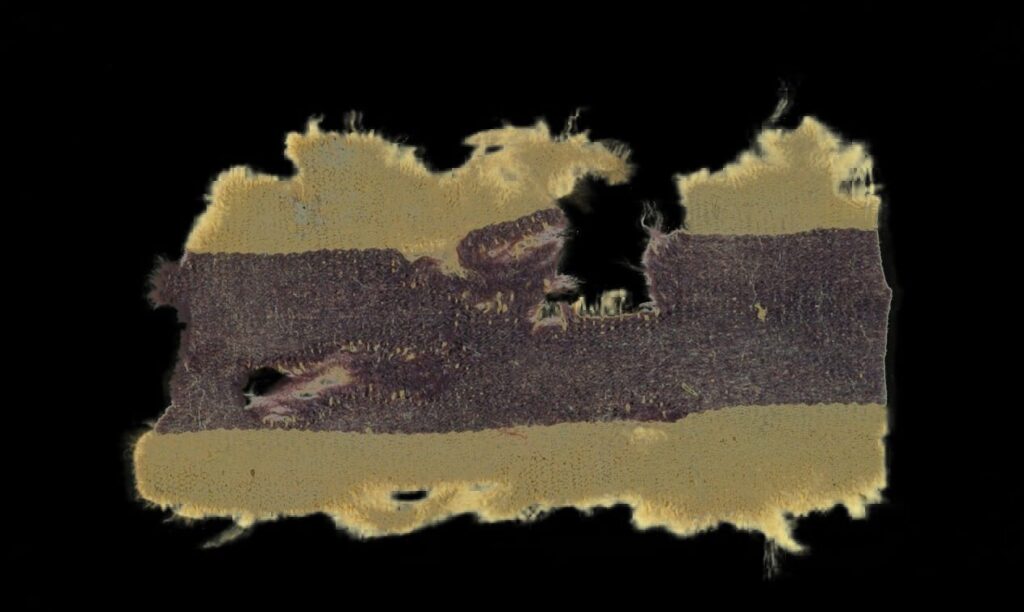 Fragment of a 2,000-year-old textile showing a central band dyed in a purple-like shade produced with plant-based double dyeing. Credit: Clara Amit and Yuvaly Schwartz, courtesy of the Israel Antiquities Authority; Shahar Cohen, courtesy of Prof. Zohar Amar, Bar-Ilan University.
