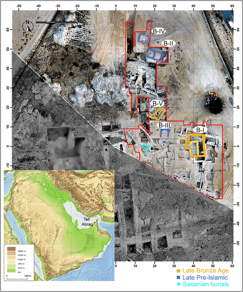 Tell Abraq at the end of the 2024 excavation season, shown with the regional and site chronology. The red line marks the area investigated by the IAMUQ. Figure by Michele Degli Esposti. Credit: Degli Esposti 2025, Antiquity.