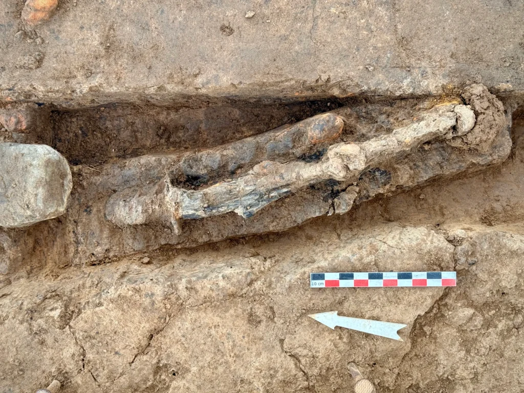 Unidentified iron object (possibly with a wooden handle) found along the northwestern wall. Credit: Patrick Ernaux, Inrap