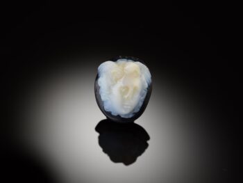 Cover Image Credit: Meldung OÖ Landes-Kultur GmbH - M. Maritsch