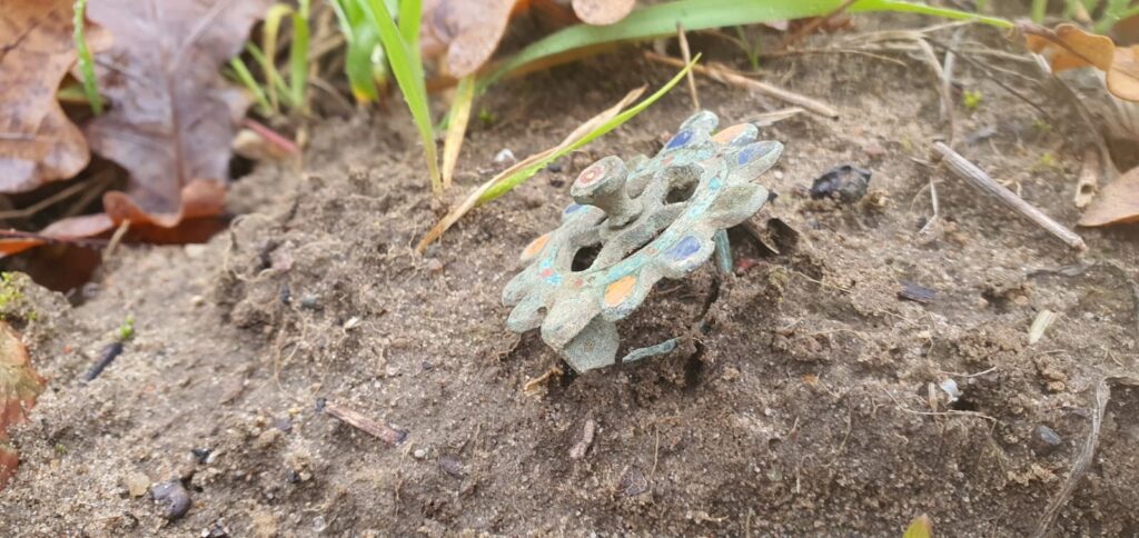 Members of the Grudziądz Fortress Association uncovered a rare, enamelled Roman-era fibula (brooch) during a routine metal-detector survey — only the second artifact of its kind ever found in Poland. Credit: Grudziądz Fortress Association