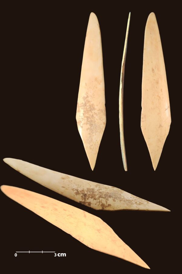 A stylus used for writing on wax tablets. Photo credit: Civil Administration Press Office. Credit: COGAT.