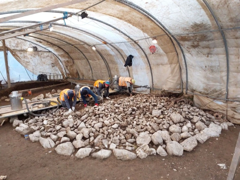 Archaeological Excavations in Grandvillard. Credit: State of Fribourg – Staat Freiburg
