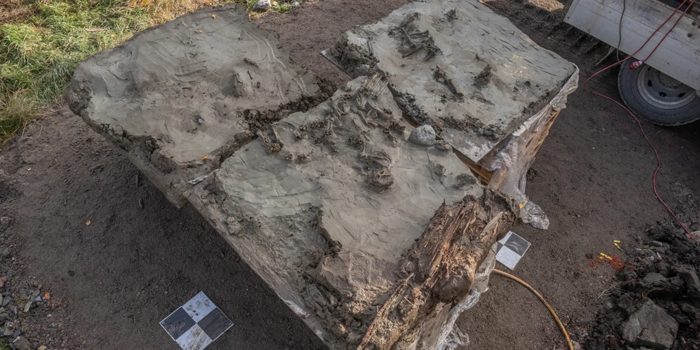 Discovery of a dog in the lake sediment. The dog was lifted together with the sediment in a block, which could then be carefully examined on land. Credit: Arkeologerna, SHM.