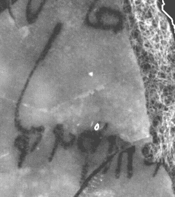 The word “Israel” in one of the manuscripts. Credit: Leon Levy Dead Sea Scrolls Digital Library, Israel Antiquities Authority