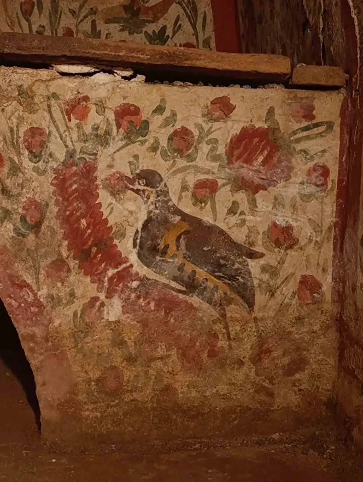 The hypogeum tomb uncovered during the 2025 excavation season stands out for its remarkably preserved frescoes. Credit: arkeoloji Haber