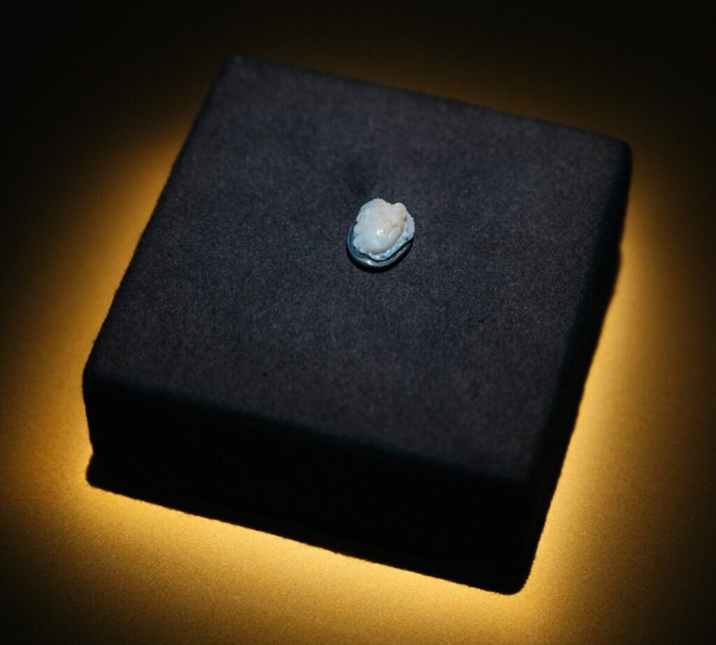 The Medusa of Hallstatt, exhibition view. Credit: Meldung OÖ Landes-Kultur GmbH - Edwin Husic