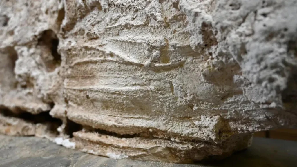 Unique impressions created by a Roman burial ritual. Credit: Seeing the Dead Project / University of York and York Museums Trust