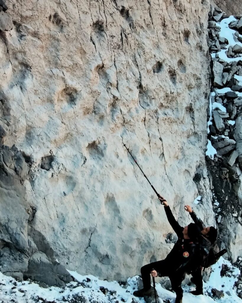 Well-preserved dinosaur footprints reveal heels, toes, and claws, surviving millennia of snow and ice. Credit: Elio Della Ferrera, PaleoStelvio. Museo di Storia Naturale di Milano