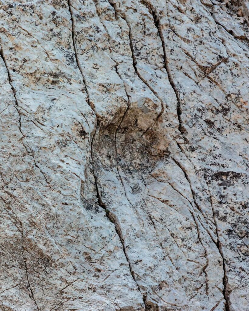 One of the footprints in the Alps, up to 40 centimeters deep. Credit: Elio Della Ferrera, PaleoStelvio. Museo di Storia Naturale di Milano