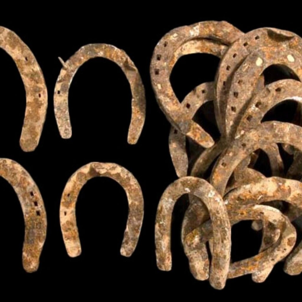 From the modern era, 17 metal horseshoes were discovered, some still retaining their nails—clear evidence that the area remained accessible and in use well into recent centuries. Credit: Zila Shagiv and Clara Amit, Israel Antiquities Authority