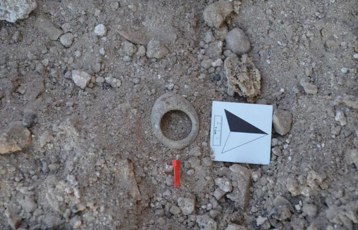 The Artuqid ivory archer’s ring (zihgir) as discovered during the 2025 Hasankeyf excavations, before cleaning and restoration, showing its original archaeological context. Credit: General Directorate of Cultural Assets and Museums 