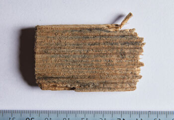 Atuatuca Tungrorum / Tongeren. Fragment of a wooden writing tablet (Cat. No. 32) mentioning honorably discharged naval soldiers (classici). Credit: Gallo-Romeins Museum Tongeren-Borgloon