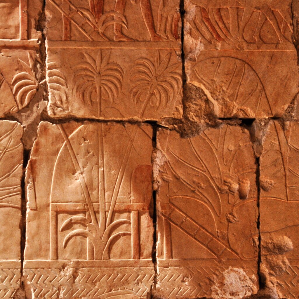 More details
This relief depicts incense and myrrh trees obtained by Hatshepsut's expedition to Punt