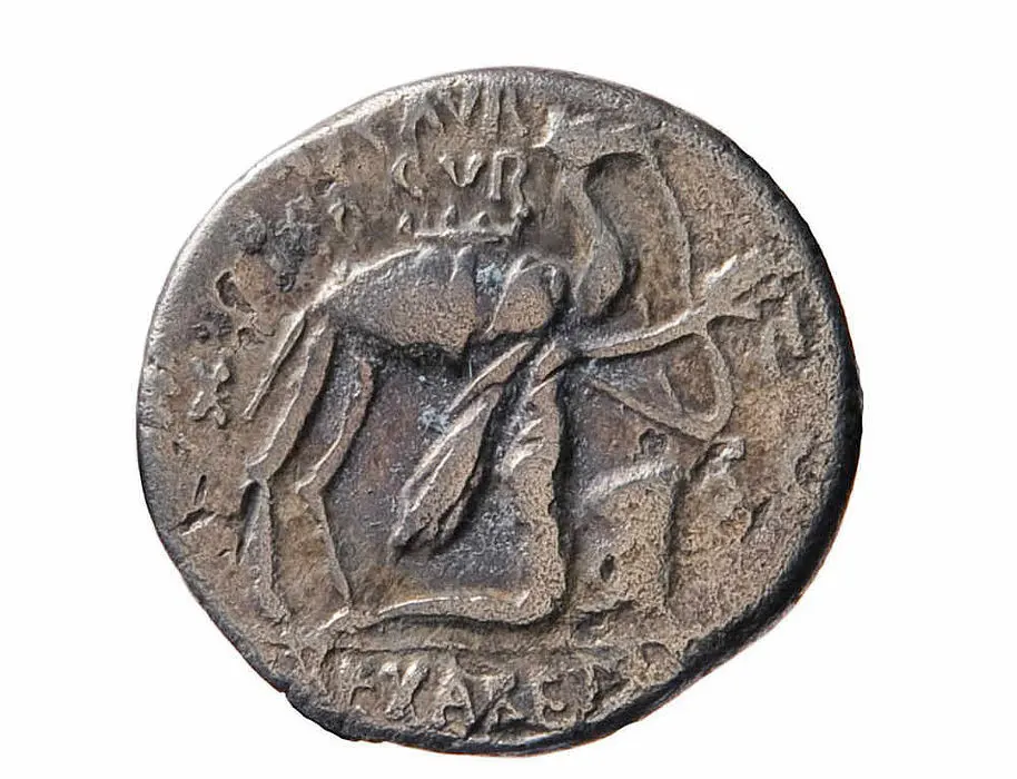 This Roman denarius from 58 BC, discovered in Augusta Raurica, depicts a camel loaded with cargo — likely similar to those once seen in the region. Credit: Archaeology Basel-Stadt.